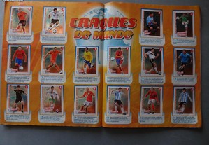 imagem_8