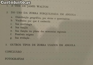 imagem_11