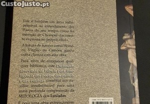 imagem_7