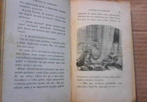 imagem_6