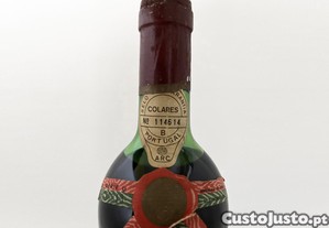 imagem_3