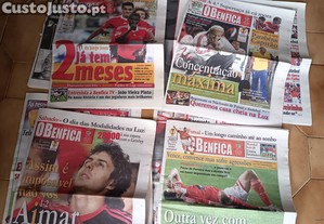 imagem_1