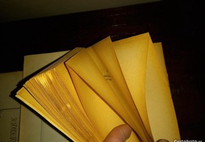 imagem_7