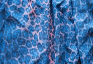imagem_3