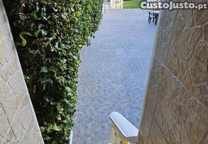 imagem_26