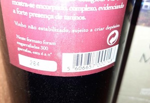 imagem_8