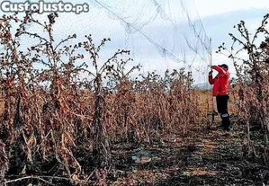 Redes para Prote��o de Cultivos Resistentes ( Fio Multifilamento ) Invis�veis