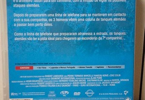 imagem_12