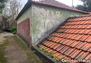 imagem_12