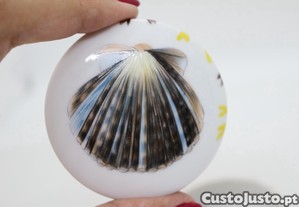 imagem_7