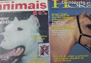Jornal dia animais + Royal horse