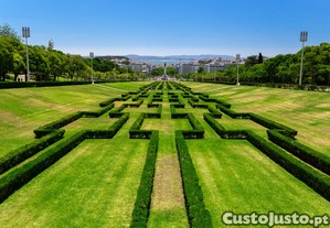 imagem_24