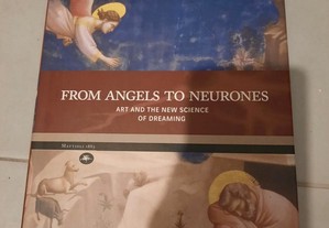 From Angels to Neurones (portes grátis)