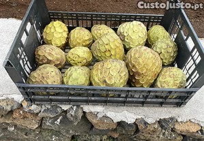 Cora��o Negra (Anona)