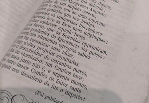 imagem_8