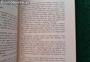 imagem_8