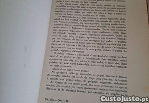 imagem_8
