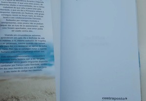 imagem_5