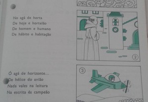 imagem_3