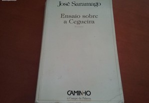 Ensaio sobre a cegueira José Saramago e outros livros