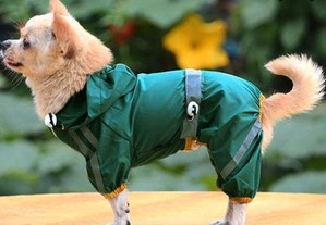 Roupa para cão - casaco Impermeável para chuva