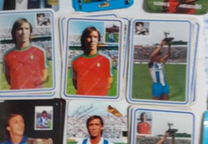 imagem_6