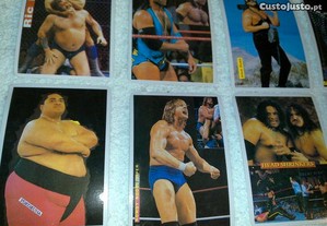 imagem_4