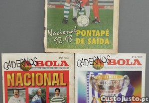 imagem_1