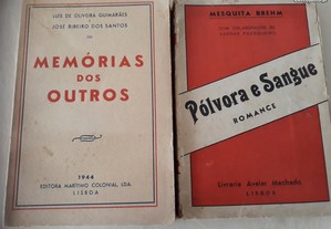 de Mesquita Bremm e Luis de Oliveira Guimarães