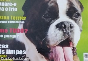 imagem_4