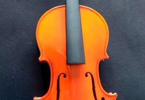 Violino para montar + arco