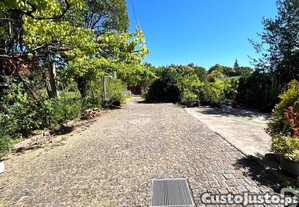 imagem_25
