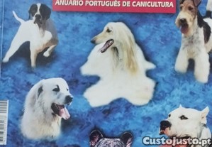 imagem_7