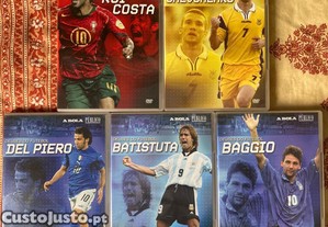imagem_1