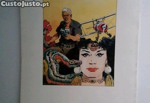 imagem_4