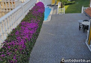 imagem_25