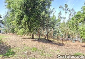 Terreno Para Construção Em Airó - Barcelos