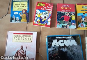 imagem_2