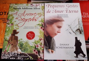 imagem_2