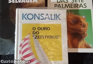 imagem_1