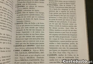 imagem_6