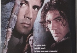 Assassinos (1985) Stallone, Antonio Banderas IMDB 6.3