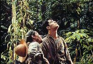 A Selva (2002) Diogo Morgado IMDB: 6.0