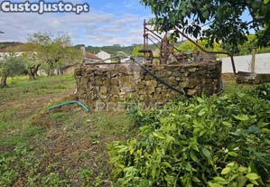 imagem_12