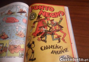 imagem_7