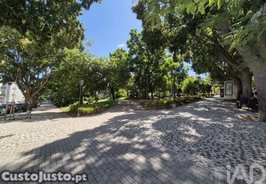imagem_26