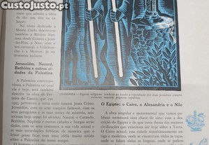 imagem_4