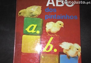 imagem_1