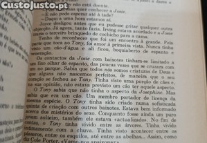 imagem_6
