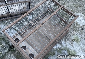 imagem_2